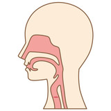 すべての死に至る病は のど から始まる 古河市で筋肉を軟らかくして痛みを改善する口コミでおすすめの治療院 総和治療院